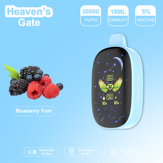 Heaven's Gate Urbar Edition | 30000 Puffs - BLUEBERRY YUM